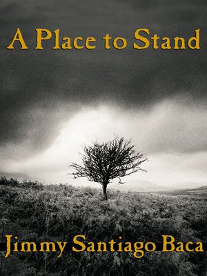 cover image of A Place to Stand